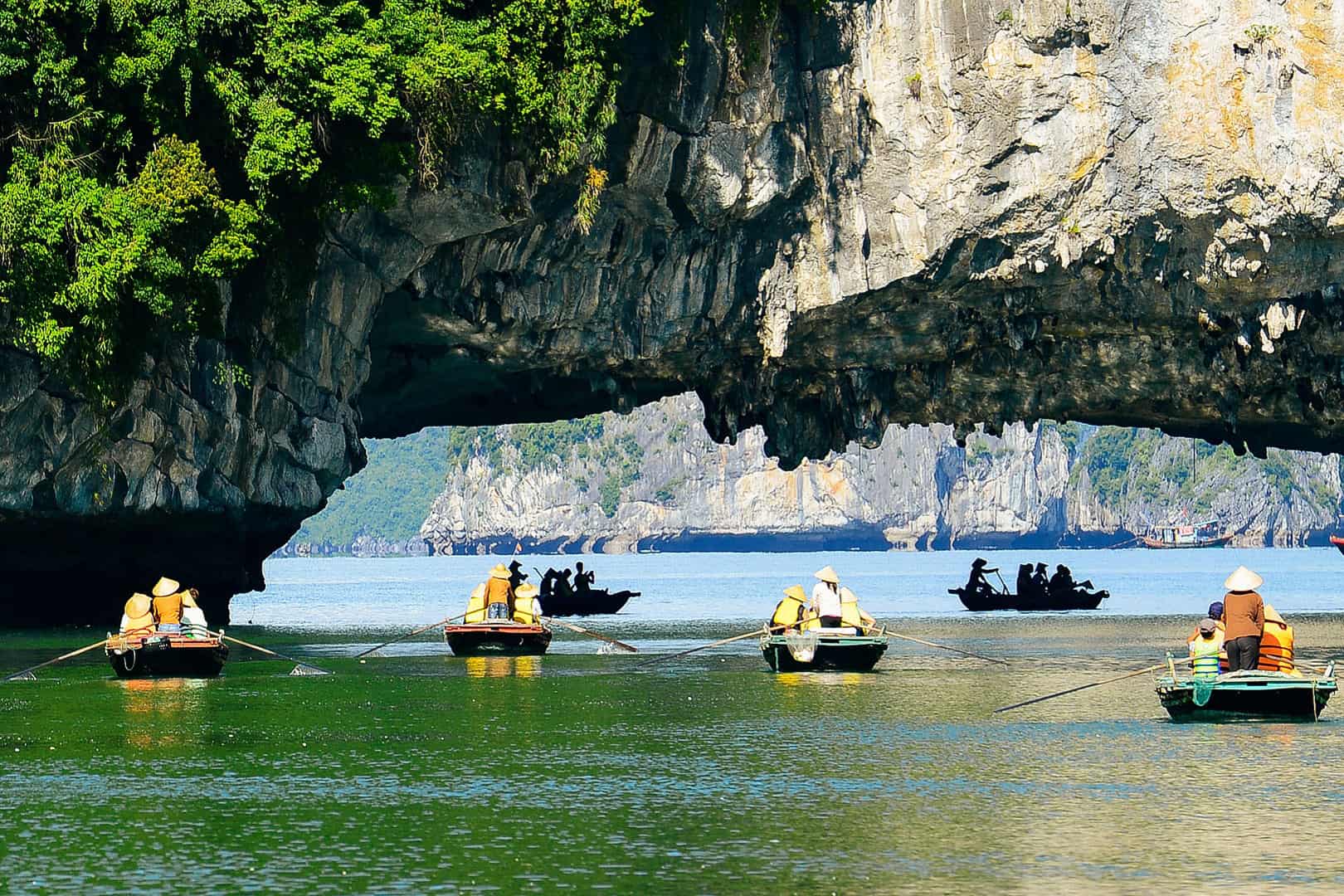 Hạ Long Tour Consultant