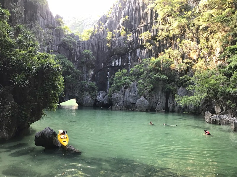 Hạ Long Tour Consultant