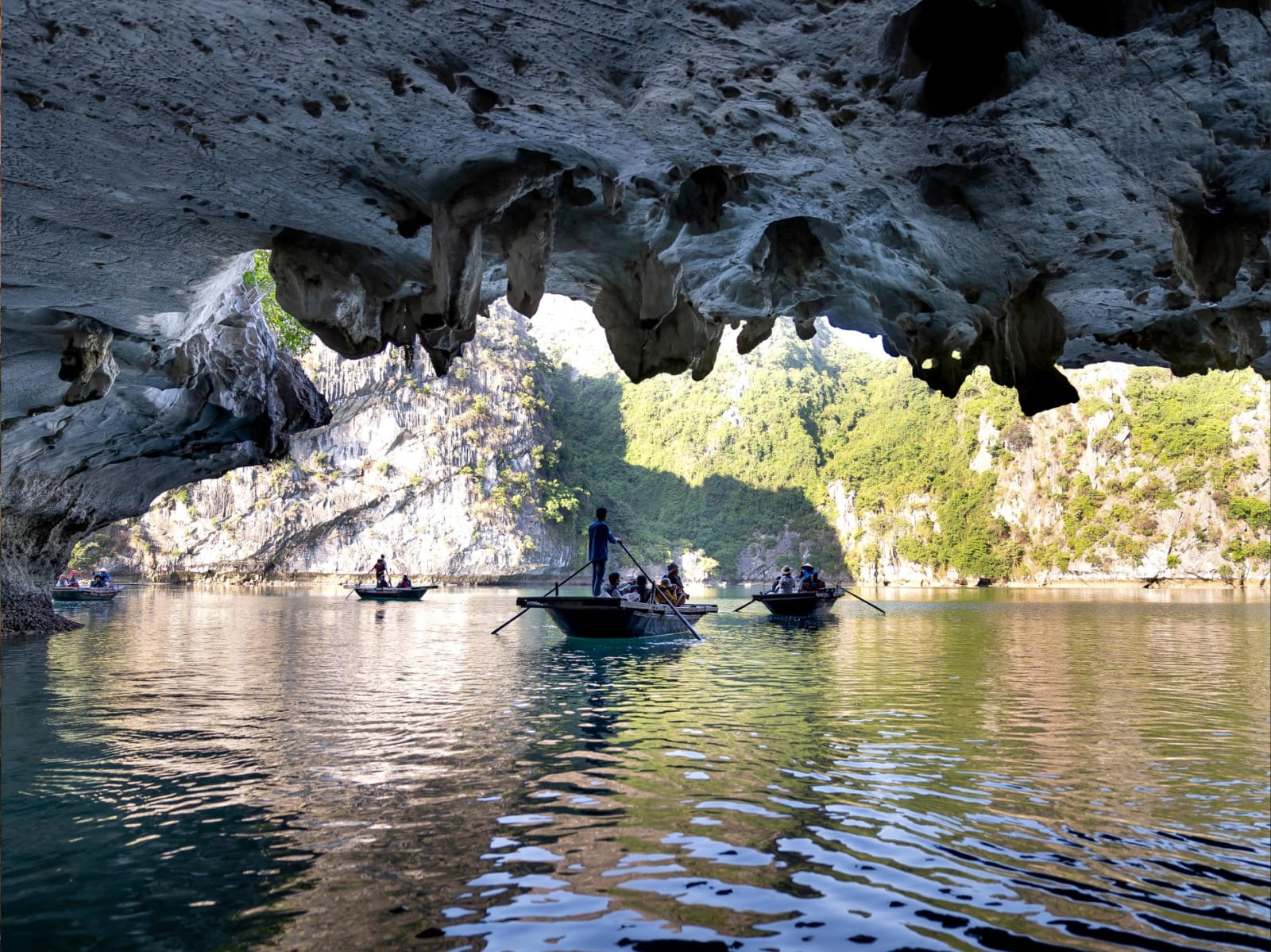 Hạ Long Tour Consultant