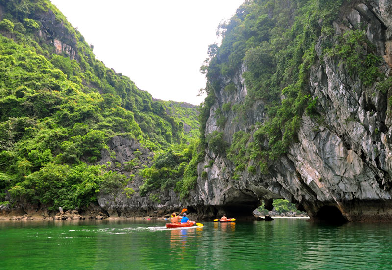 Hạ Long Tour Consultant